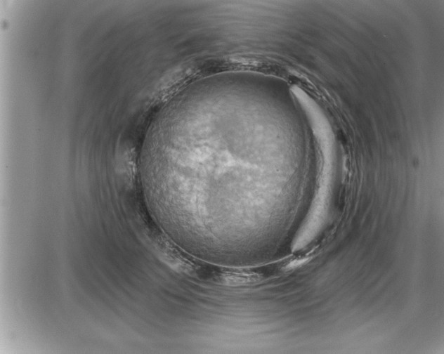 X0000087590707200705041509