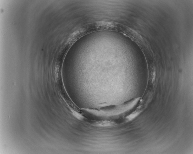 X0000087590708200705041509