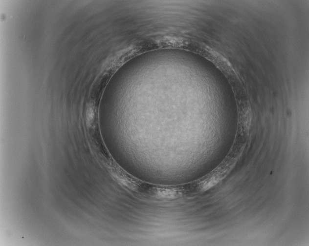 X0000087590709200705041509