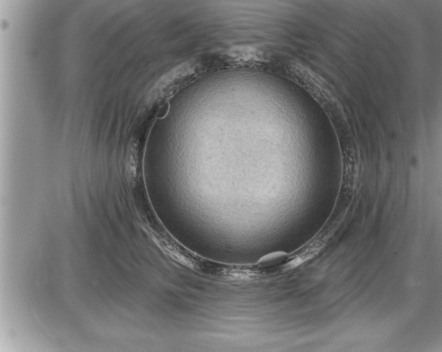 X0000087590710200705041509