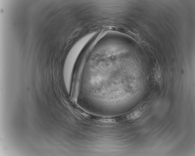 X0000087590711200705041509