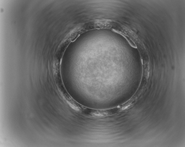 X0000087590712200705041509