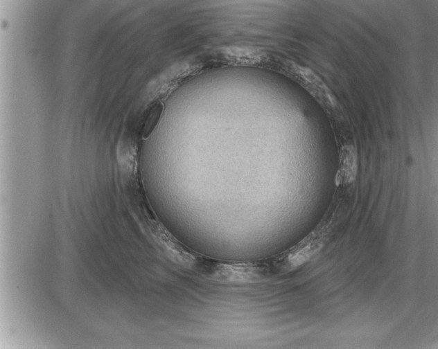 X0000087590713200705041509