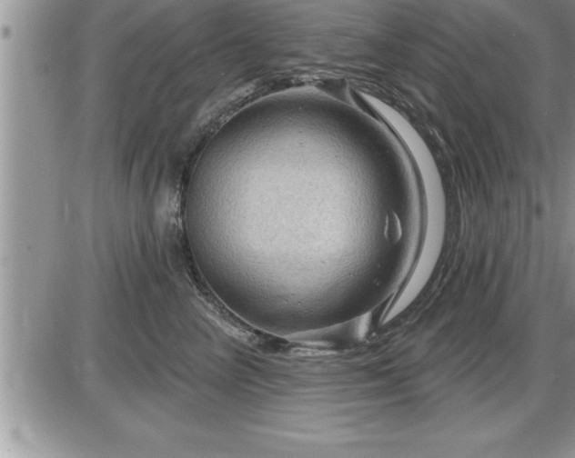 X0000087590714200705041509