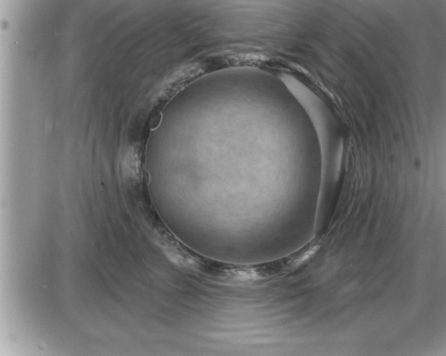 X0000087590715200705041509