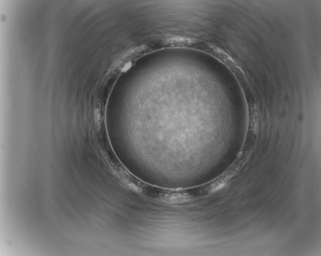 X0000087590716200705041509