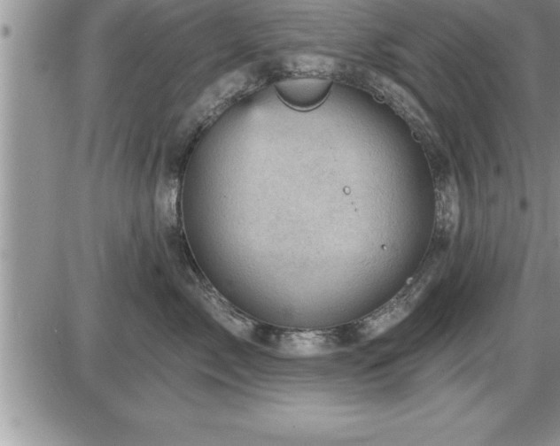 X0000087590717200705041509