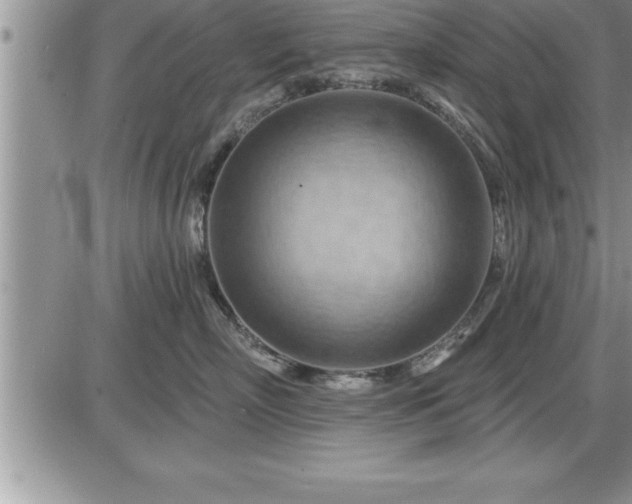 X0000087590718200705041509