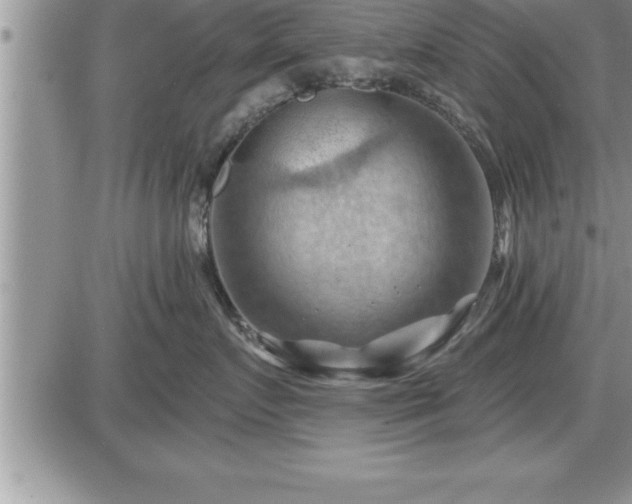 X0000087590719200705041509