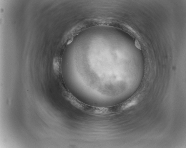 X0000087590720200705041509