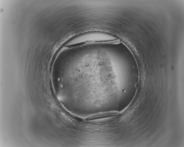 X0000087590721200705041508