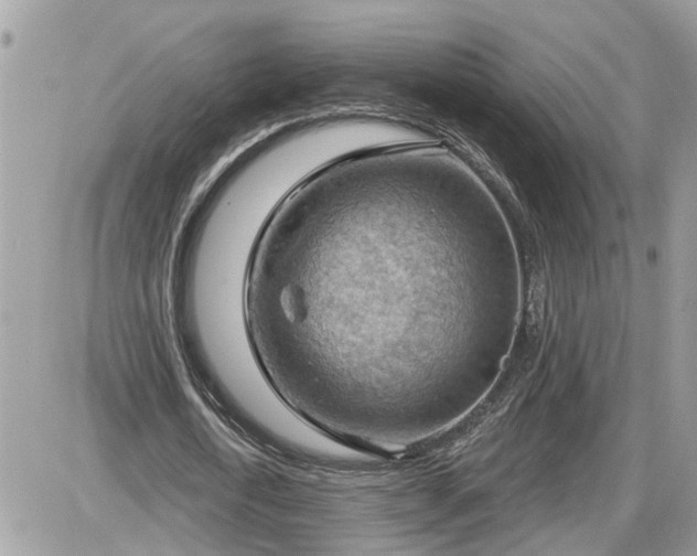 X0000087590722200705041508