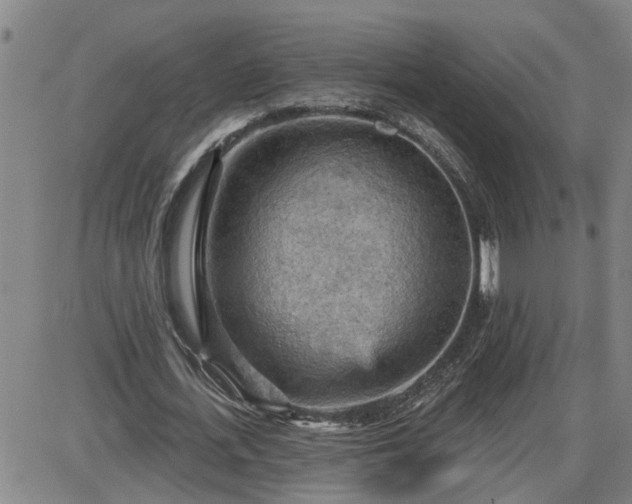 X0000087590723200705041508