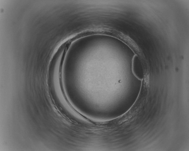 X0000087590724200705041508