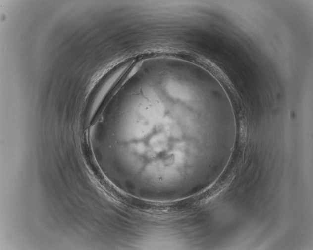 X0000087590725200705041508