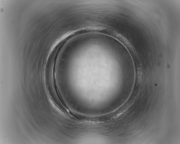 X0000087590726200705041508