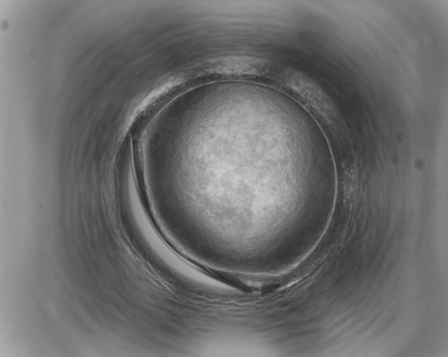 X0000087590727200705041508