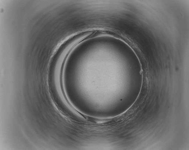 X0000087590728200705041508