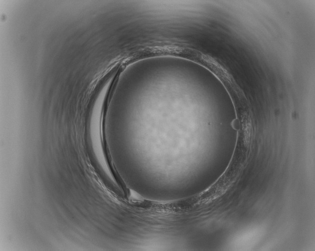 X0000087590729200705041508