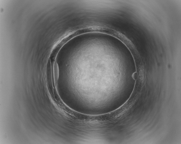 X0000087590730200705041508