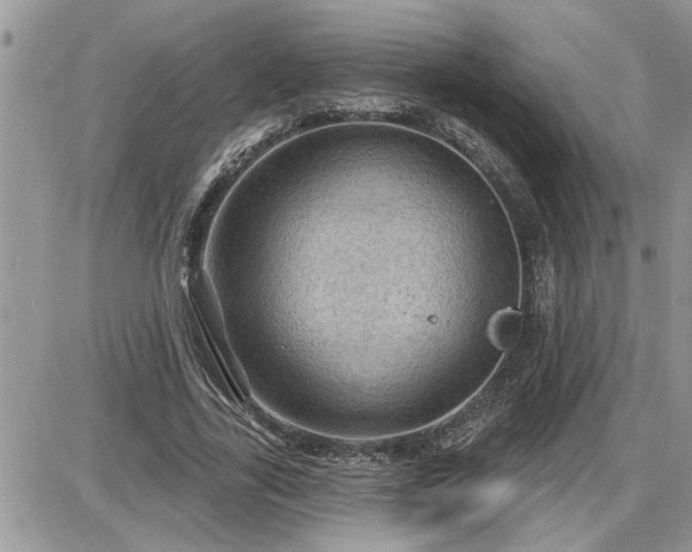 X0000087590731200705041508