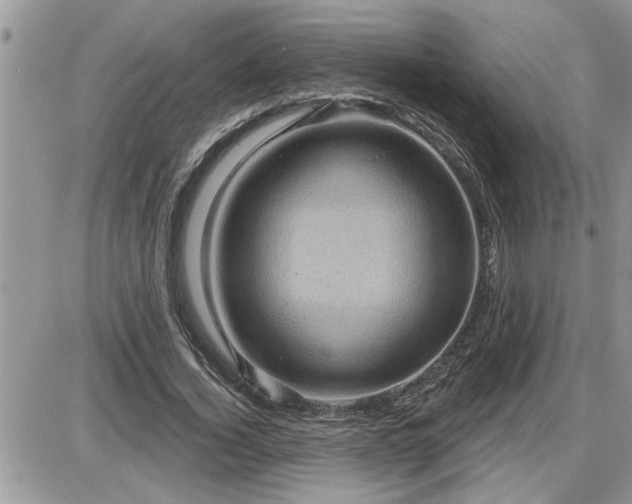 X0000087590732200705041508