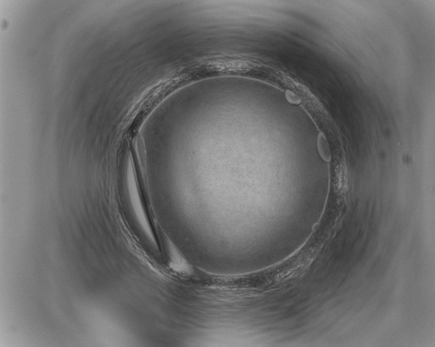 X0000087590733200705041508