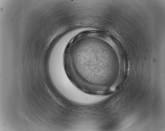 X0000087590735200705041508