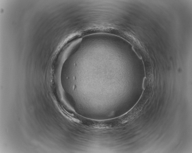 X0000087590736200705041508