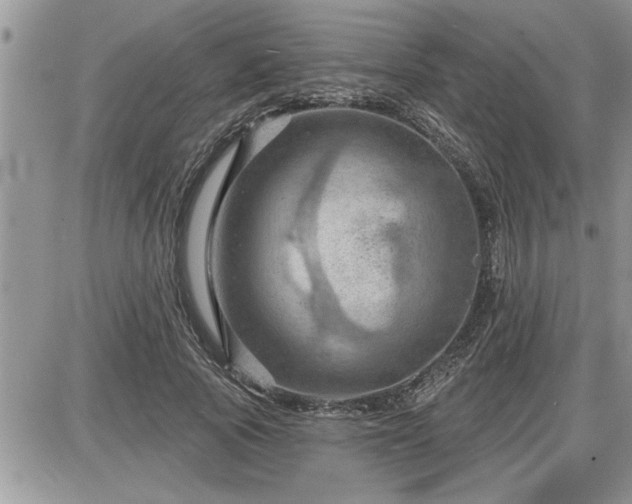 X0000087590737200705041508