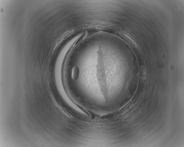 X0000087590738200705041508