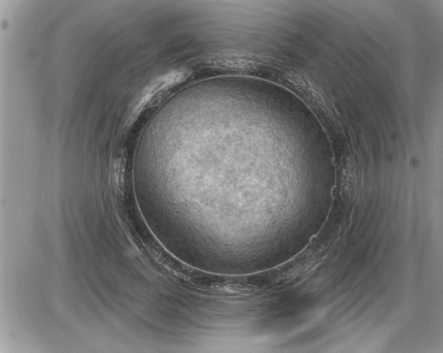 X0000087590739200705041508