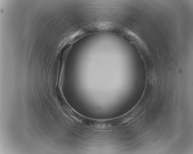 X0000087590740200705041508