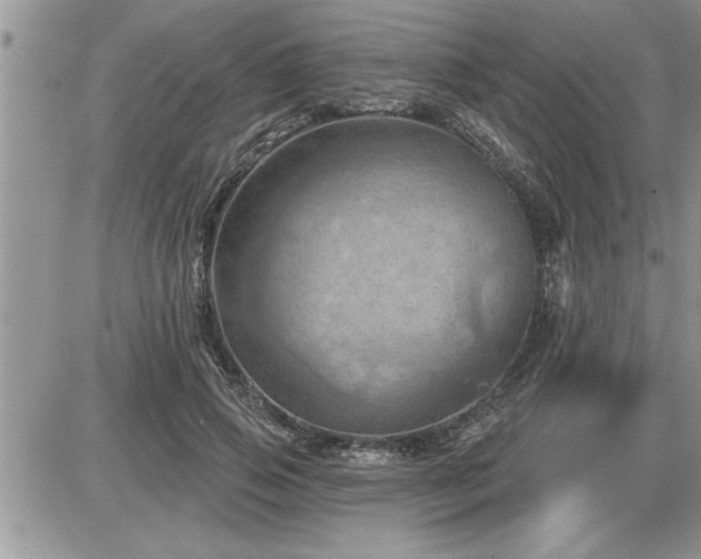 X0000087590741200705041508