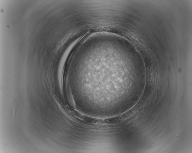 X0000087590742200705041508