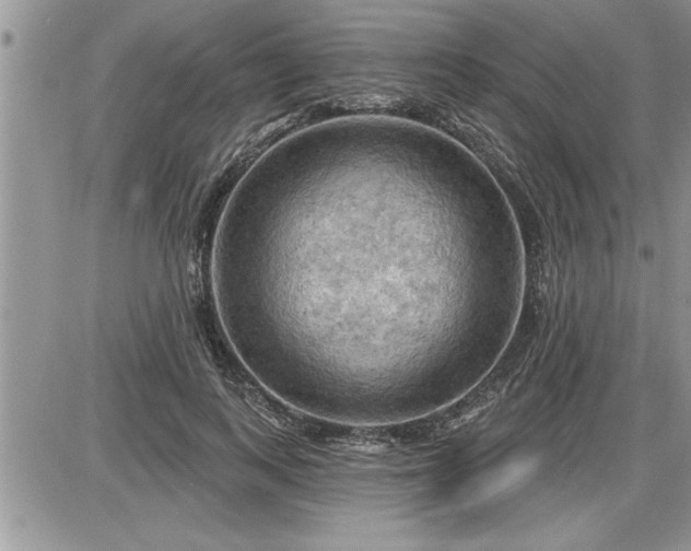 X0000087590743200705041508