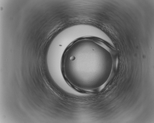 X0000087590744200705041508