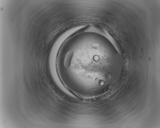 X0000087590746200705041508