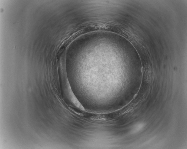 X0000087590747200705041508