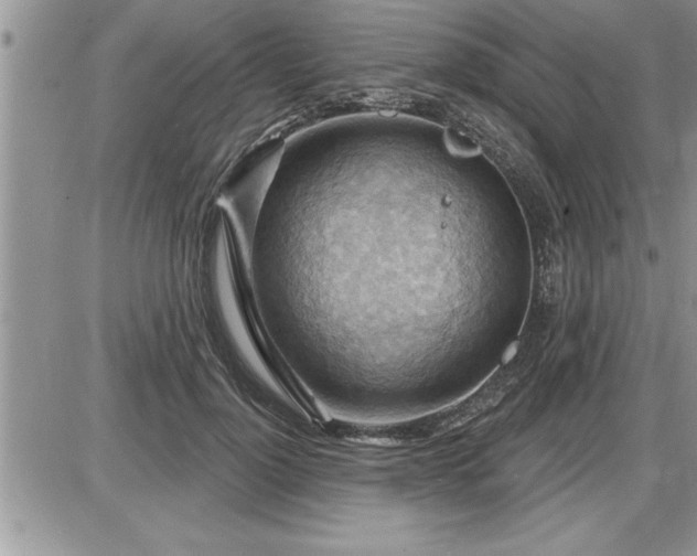 X0000087590748200705041508