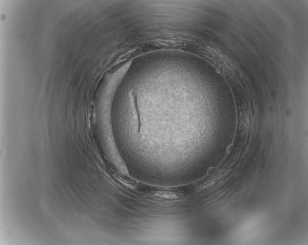 X0000087590749200705041508