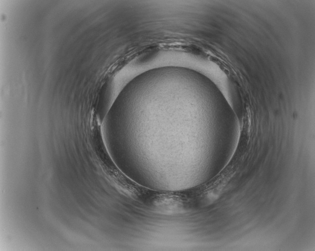 X0000087590750200705041508