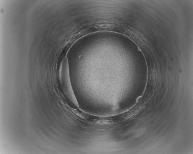 X0000087590751200705041508