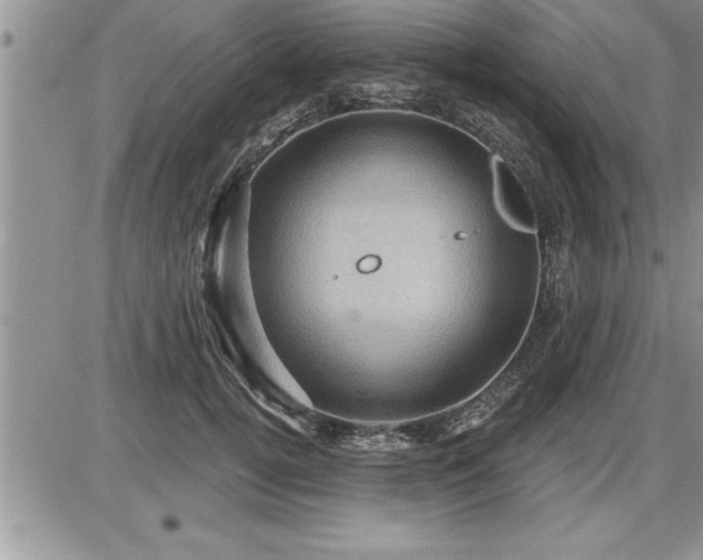 X0000087590752200705041508