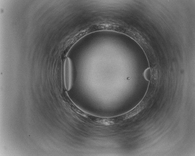 X0000087590754200705041508