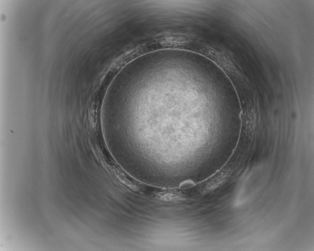 X0000087590755200705041509