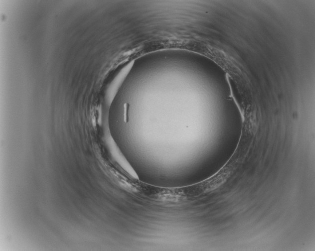 X0000087590756200705041509