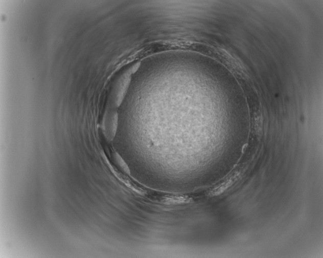 X0000087590757200705041509