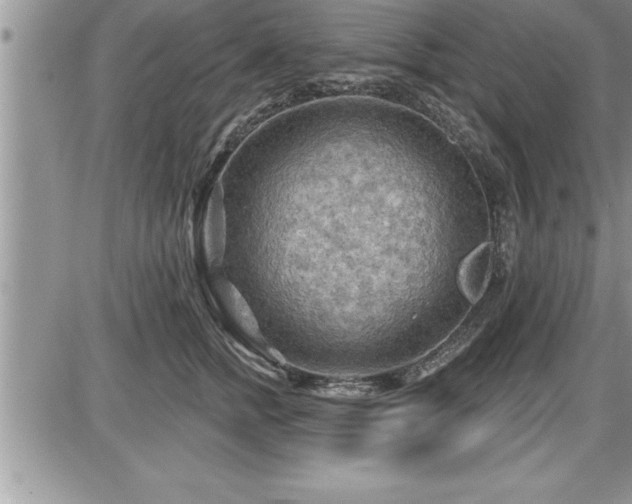 X0000087590758200705041509