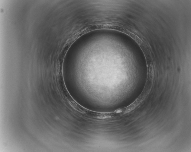 X0000087590760200705041509